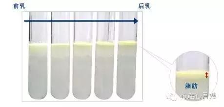 母乳的正常颜色是什么颜色,你的母乳充足吗