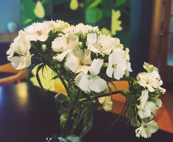 视频拍照隐藏功能怎么找到,视频摄像头有自带美颜功能吗