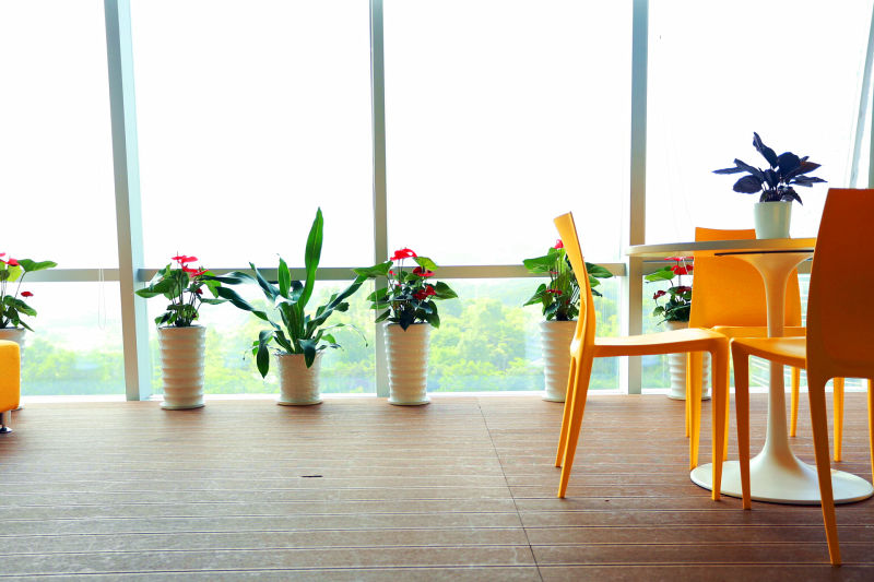 探访本地公司,参观别人家公司