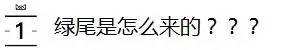 天天上脚“绿尾”的你，真的懂她吗？