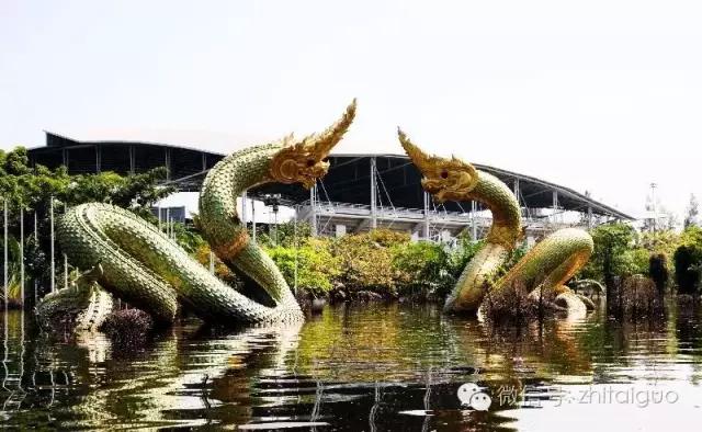 找个球场打球,找一个地方打球