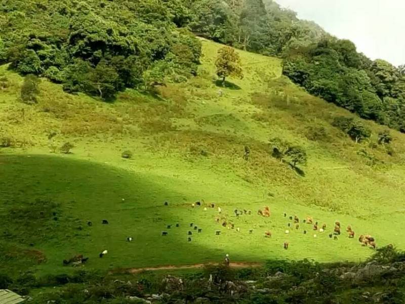 7月慢享时光，请不要放过普者黑