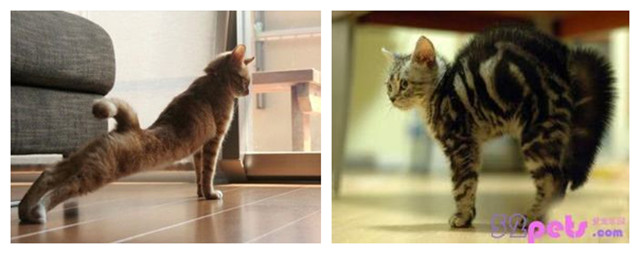 三万玩川藏！一个男人的承诺