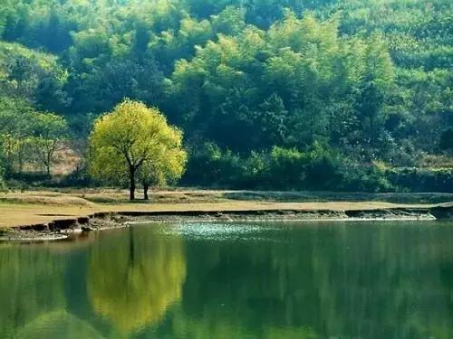 主持人读错安徽地名,新闻主持人读错地名