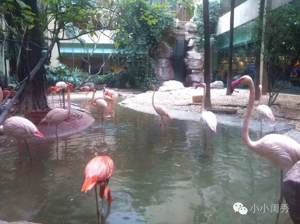 带孩子广州长隆旅游攻略,长隆动物乐园多长时间可以逛完