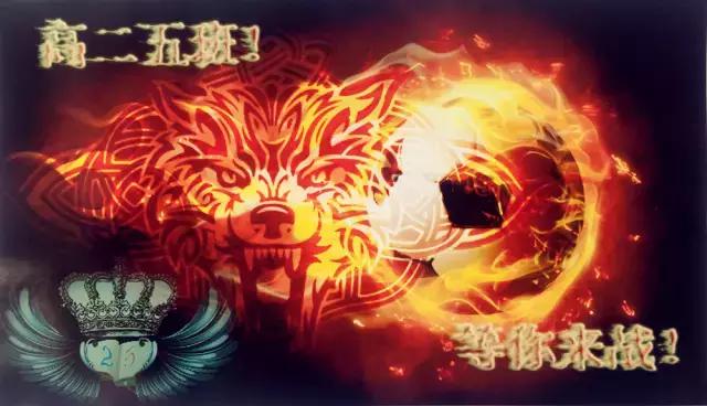 天津54中学足球文化,天津54中全景