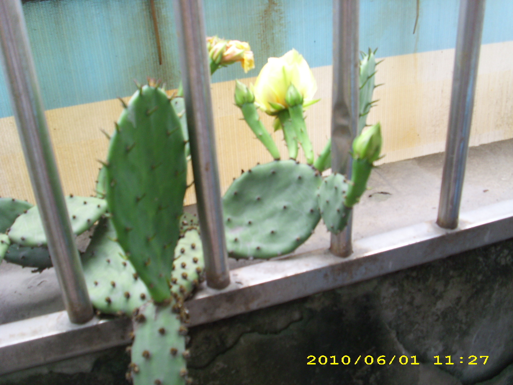 邻居向我要了童子尿治病婆婆很生气，第二家我拒绝给又结了仇