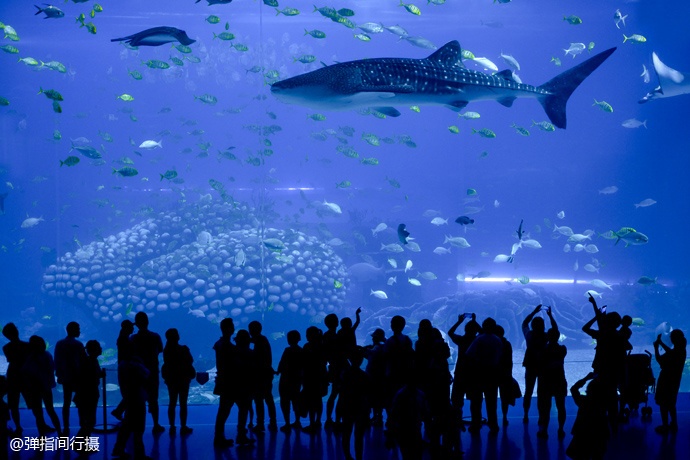 珠海长隆旅游攻略和住宿,珠海长隆周末有什么活动