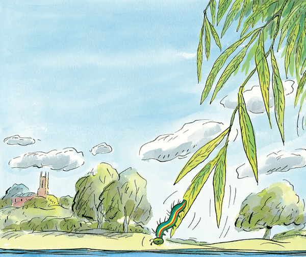 《蝌蚪的诺言》她是他眼中最美的彩虹