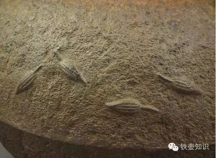 老铁壶的用法,老铁壶有锈吗