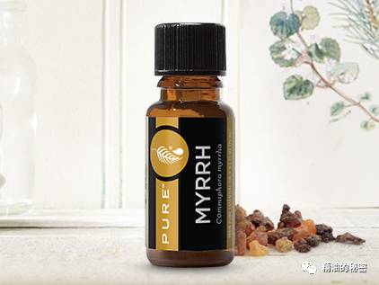 美乐家生姜精油的功效与作用,美乐家精油大全