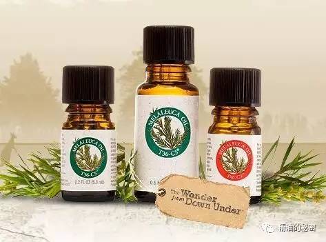 美乐家生姜精油的功效与作用,美乐家精油大全