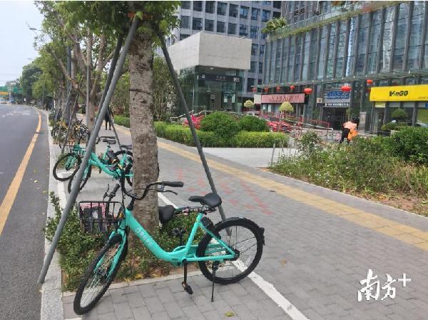 深圳交委监管滴滴,滴滴青桔违法行为怎么查看