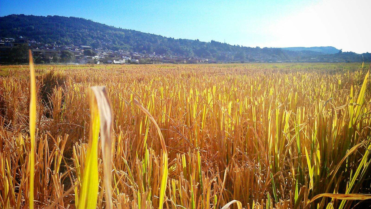 春日游必去的地方,五一旅游必去的8个小众旅游地