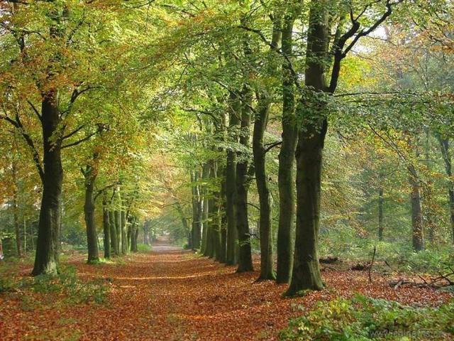 适合书法创作的五言诗句,最适合书法创作的36首诗词