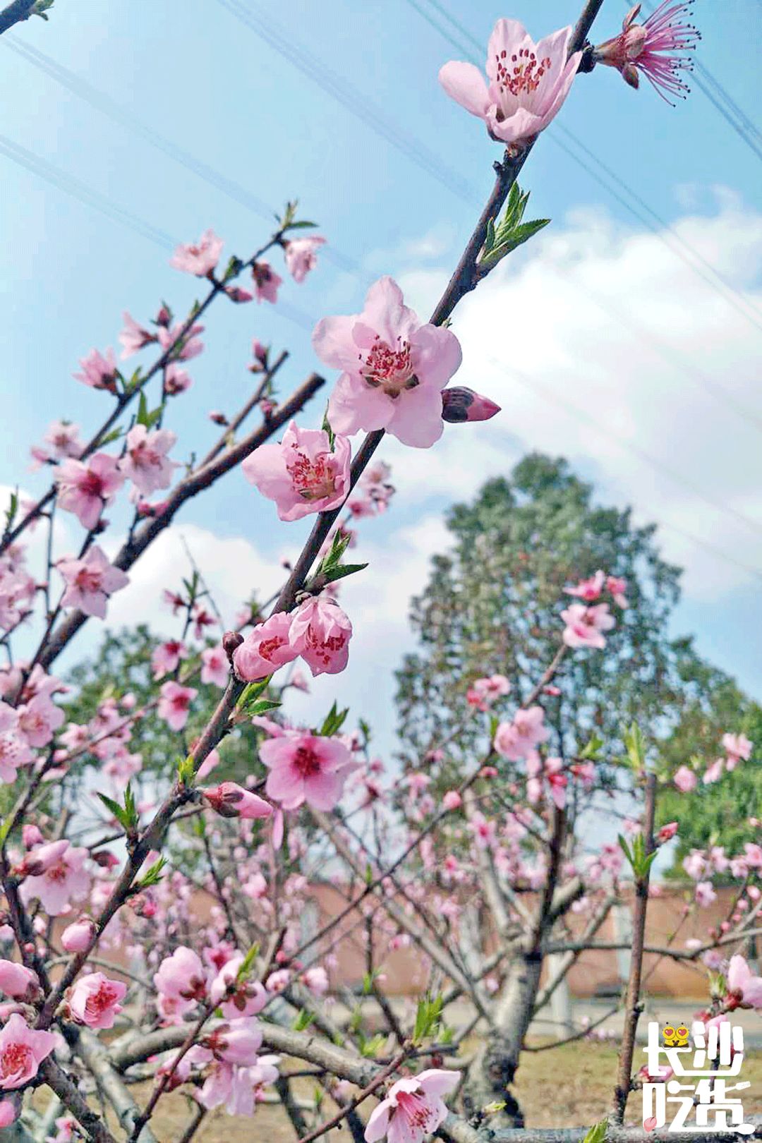 湖南信息学院为什么不出名,湖南信息学院水平怎么样