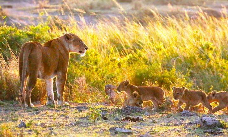 2020年最佳旅行清单自驾,亲子自驾游3-4天攻略最佳线路