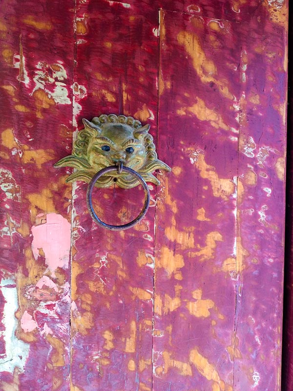 上方山森林动物世界游记,上方山动物园游记四年级