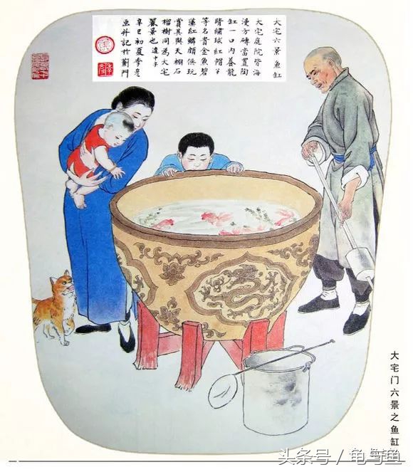 古法养鱼能养锦鲤吗,古法养鱼全过程视频