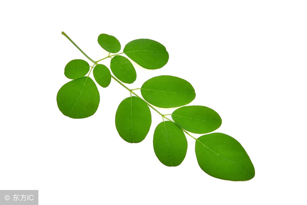 小儿积食腹痛家长应对,小儿积食教宝妈如何消除