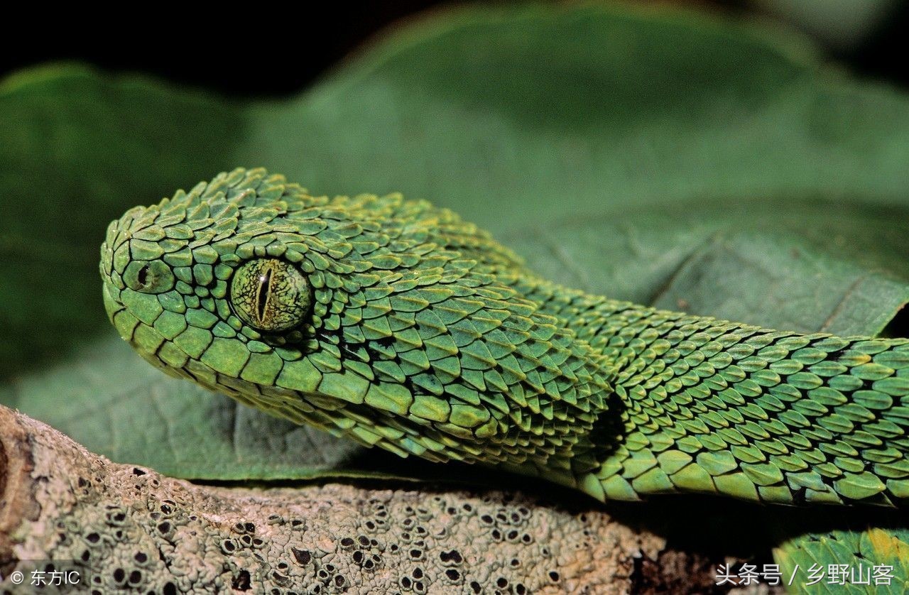 山西母亲杀死女儿,山西一母亲杀死女儿