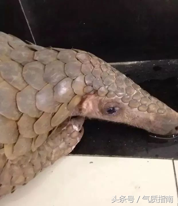 朋友圈里卖低价服装的真相,朋友圈代购真实案例