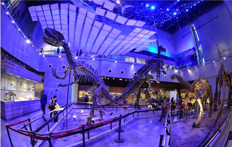 电子圈的父母六一带孩子去哪儿？