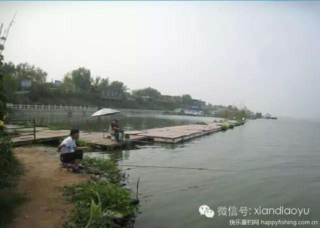 西安灞河钓鱼钓点,灞河路亚白条的钓点