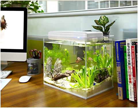 智能生态水族箱,鱼乐圈水族箱图片