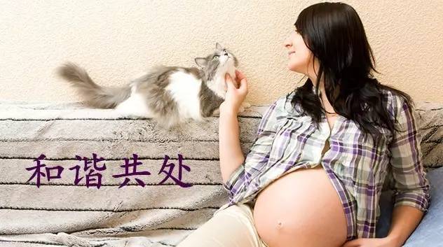 怎么才能感染弓形虫,弓形虫怎么感染到人身上