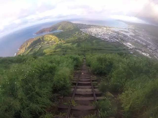 夏威夷和周冬雨,余文乐周冬雨夏威夷