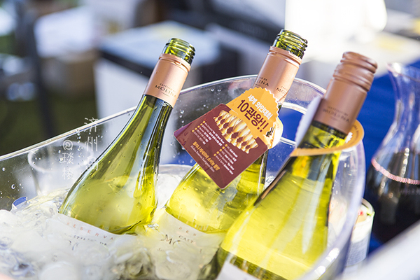 韩国济州岛最好吃的糕点美食,济州岛马肉