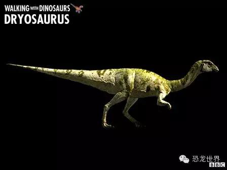 地球生物进化史第1集 (古生物三部曲bbc)