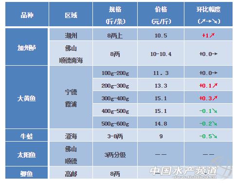 今年斑点叉尾鮰多少钱一斤,叉尾鮰鱼价什么时候会跌价