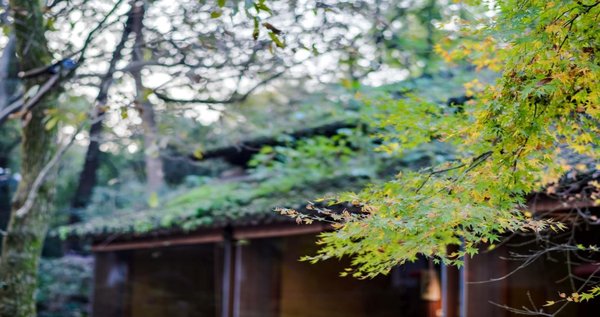 浙江紫萱度假村,杭州紫萱度假村标志