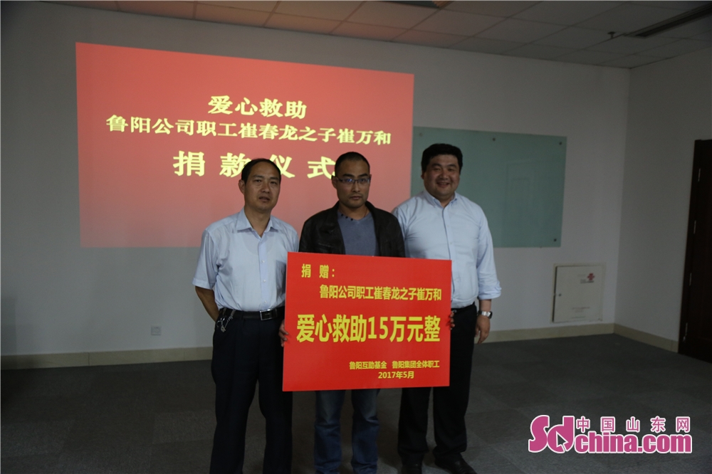 山东鲁阳保温材料有限公司,内蒙古鲁阳节能材料股份有限公司