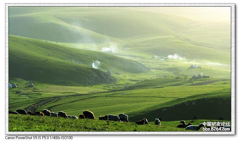 梦里花开——*疆新**，又一次的心动