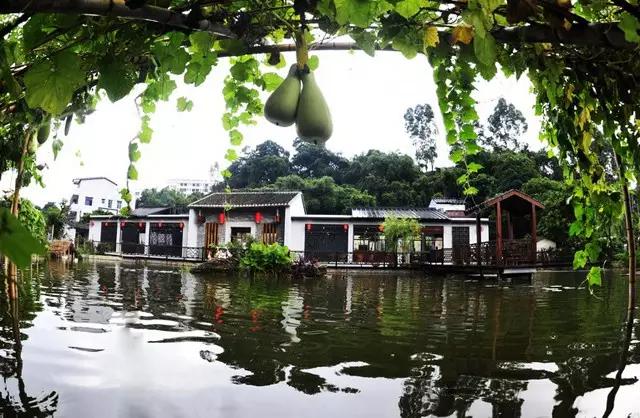 来深圳一定要去哪里逛逛,来深圳值得去的地方