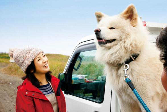 导盲犬小q动漫片影评,导盲犬小q电影总结