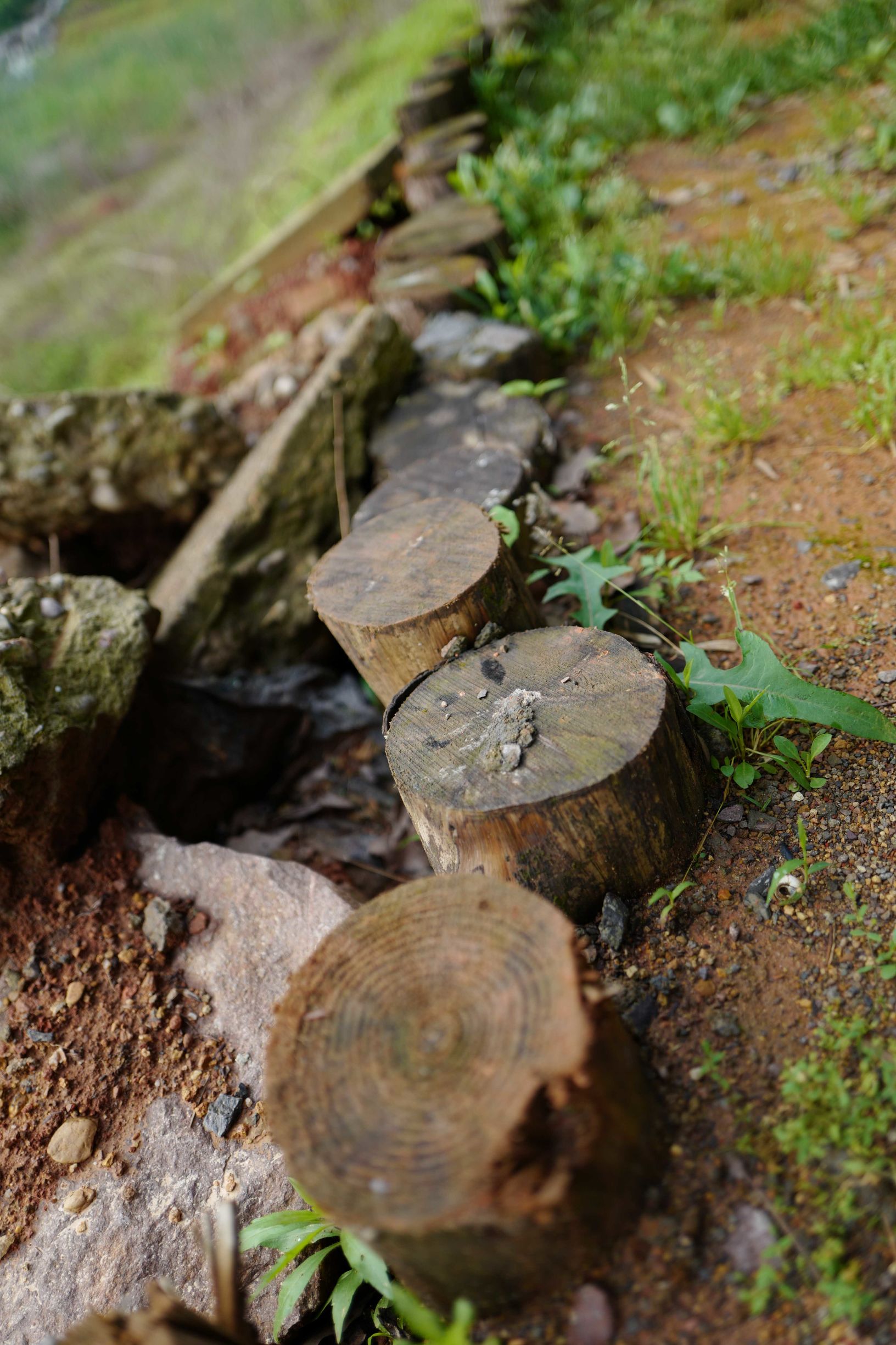 这才是德味-LeicaQ一个月使用报告