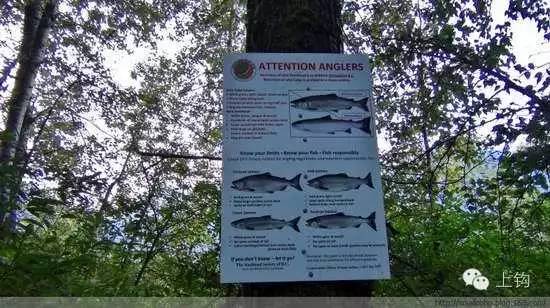 五分钟带你逛遍温哥华,带你吃遍温哥华