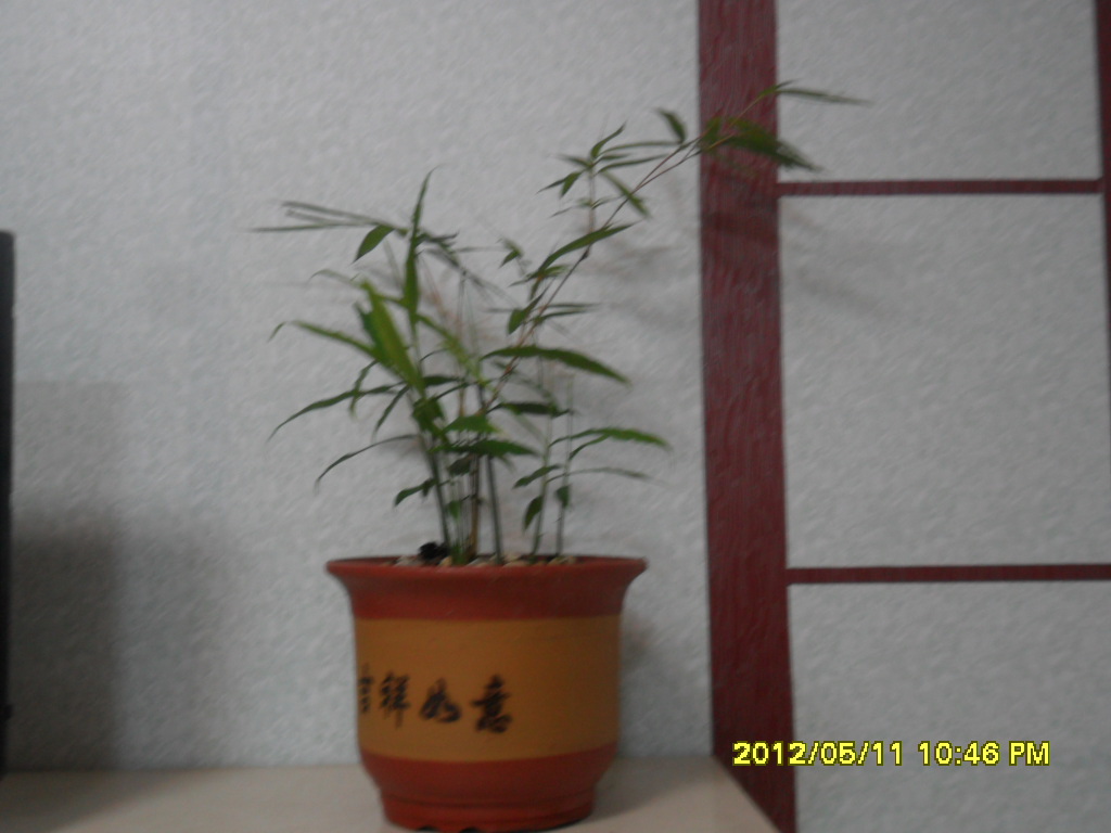 商品房3室一厅的装修图纸,1楼110平方4房1厅装修图纸