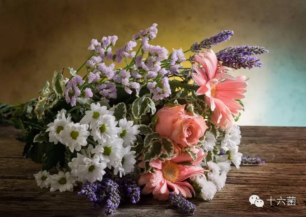 解决路痴最好的方法,路痴用什么方法解决