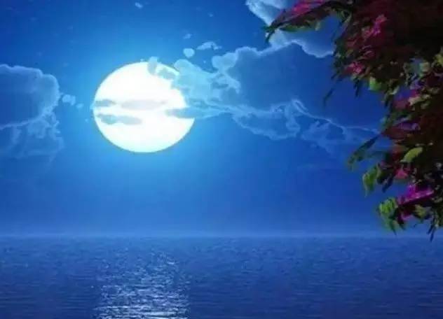 山有木兮心悦君兮君不知下一句,山有木兮木有枝心悦君兮君不知mv