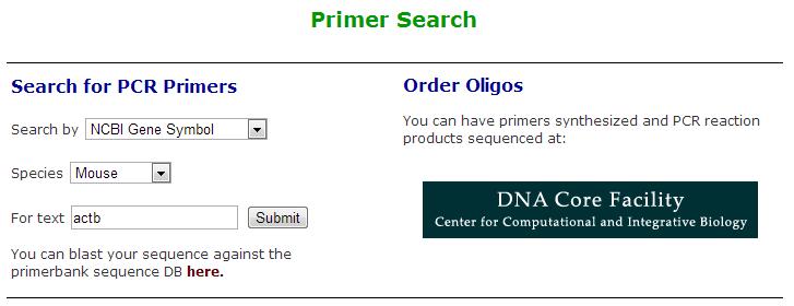 pcr引物设计软件优缺点,idt的在线引物设计工具