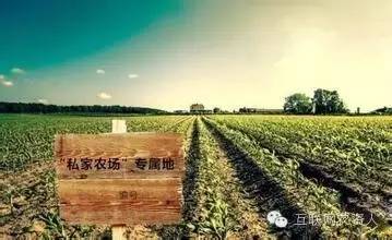 农业肥料私人订制模式,定制农业是啥