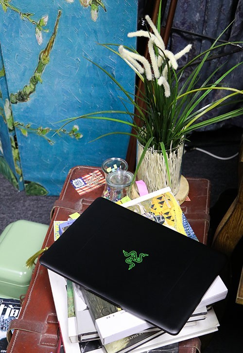 雷蛇灵刃潜行版2017版换电池,雷蛇灵刃13潜行版换固态硬盘