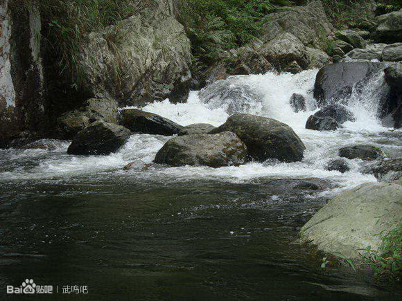 南宁附近的农家乐有哪些,南宁陈家大院农家乐大全
