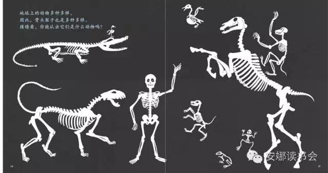 幼儿科普书籍,儿童科普绘本启蒙书