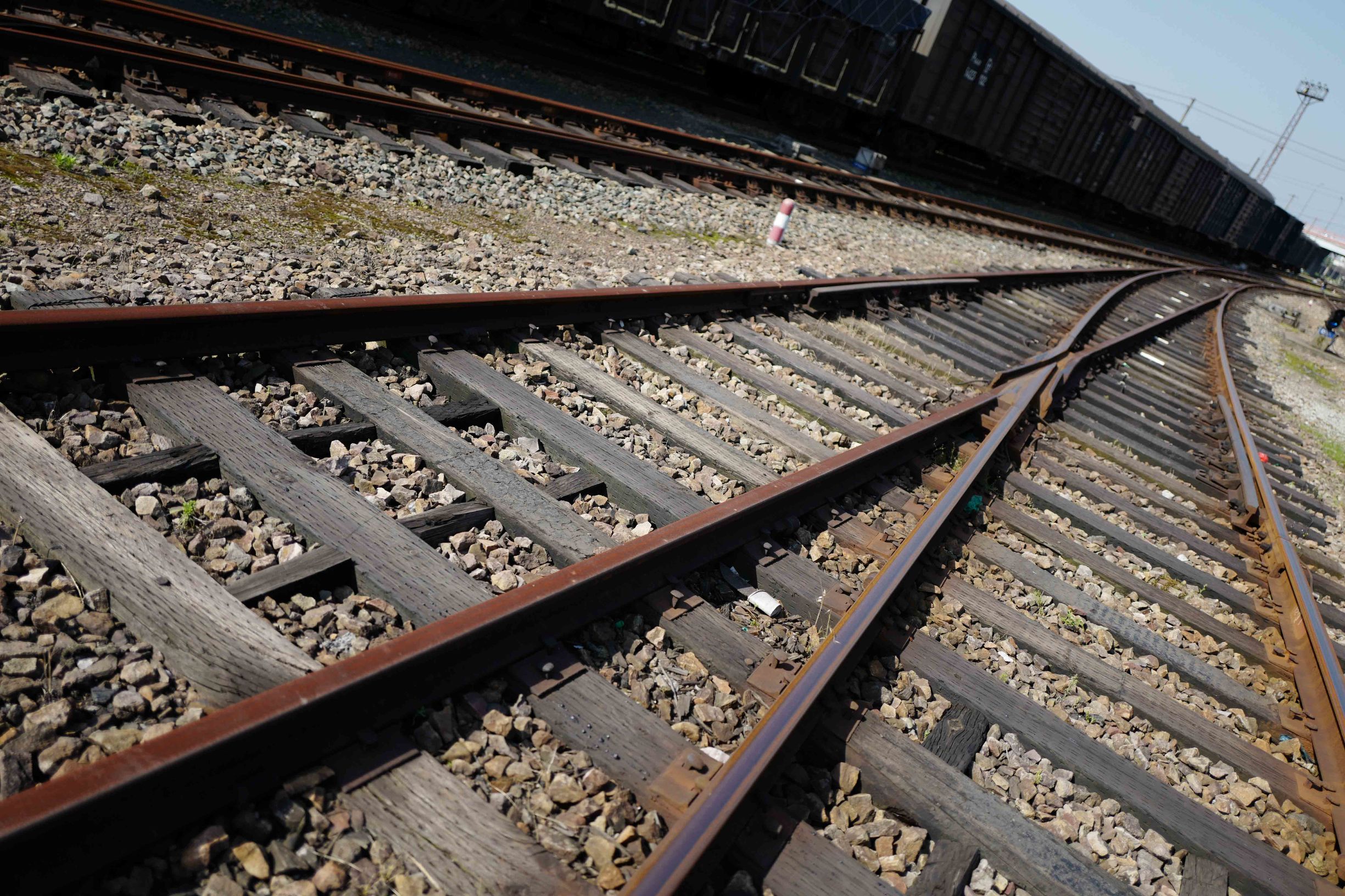 这才是德味-LeicaQ一个月使用报告